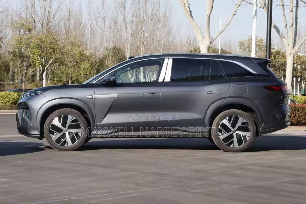 New BYD Tang DM-i 2025 Gray