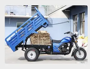 New Tricycle 2026 Blue