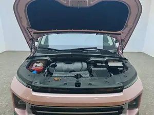 Geely Coolray 1.5 FWD 2023 Pink