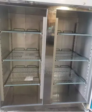 Tecno Freeze Italian Industrial Freezer