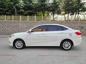 Job Title: Automotive Sales Consultant