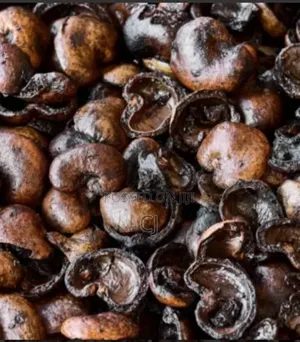Cashew Nut Shells for Sale