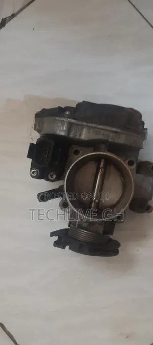 VW Throttle