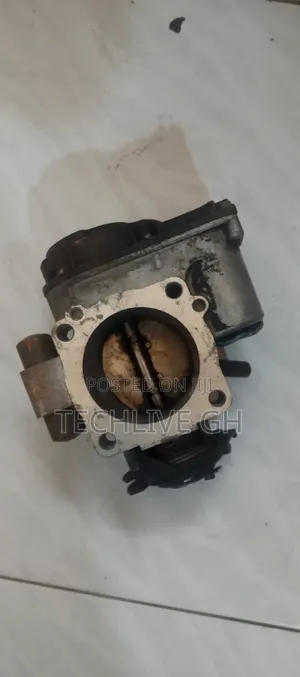 VW Throttle