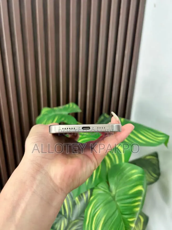 Apple iPhone 15 Pro Max 256 GB Silver