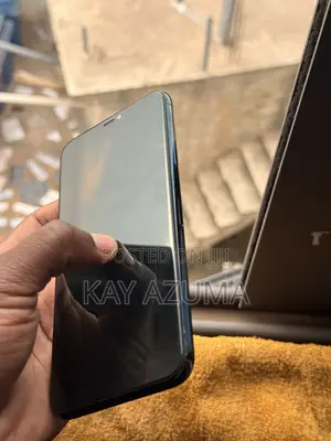 Apple iPhone 11 Pro Max 256 GB Gray