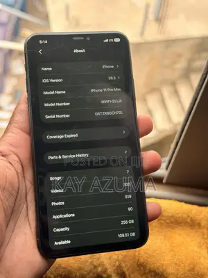 Apple iPhone 11 Pro Max 256 GB Gray
