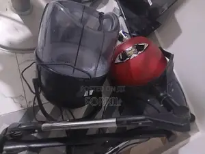 Salon Hair Dryer ( Wall Mount Type )