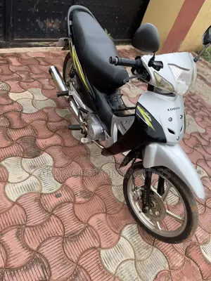 Luojia 110cc 2024