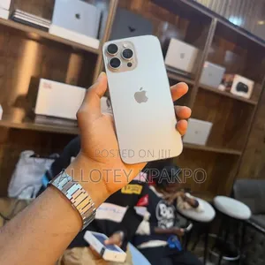 Apple iPhone 15 Pro Max 256 GB Silver
