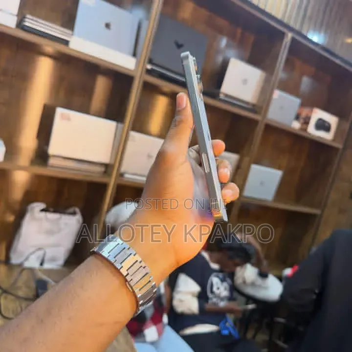 Apple iPhone 15 Pro Max 256 GB Silver