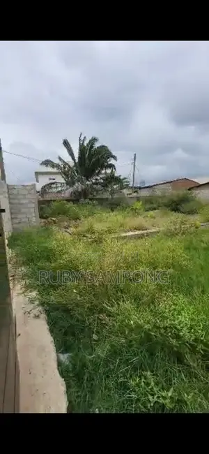 One and Half Plots of Land.