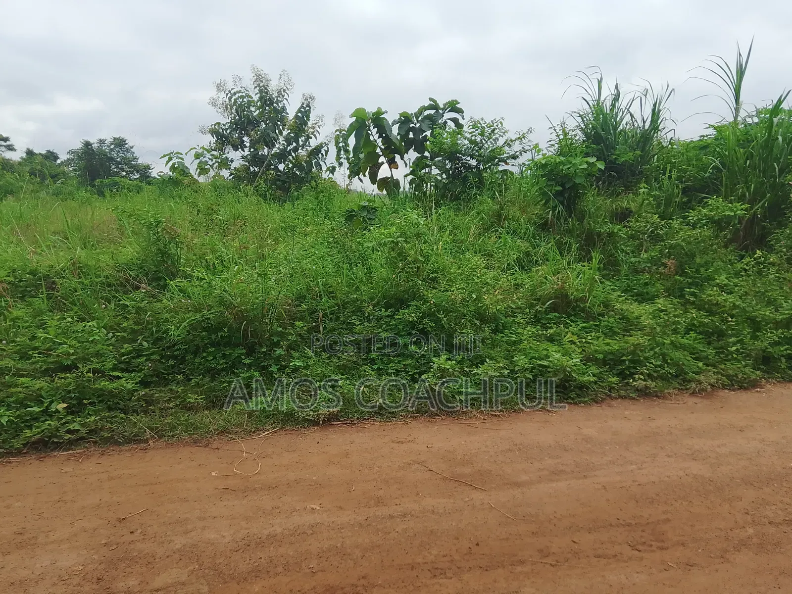 Roadside Plot at SYN YH Temakwataa