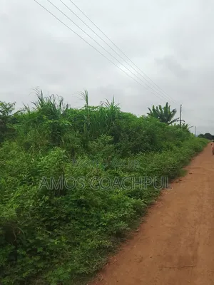 Roadside Plot at SYN YH Temakwataa