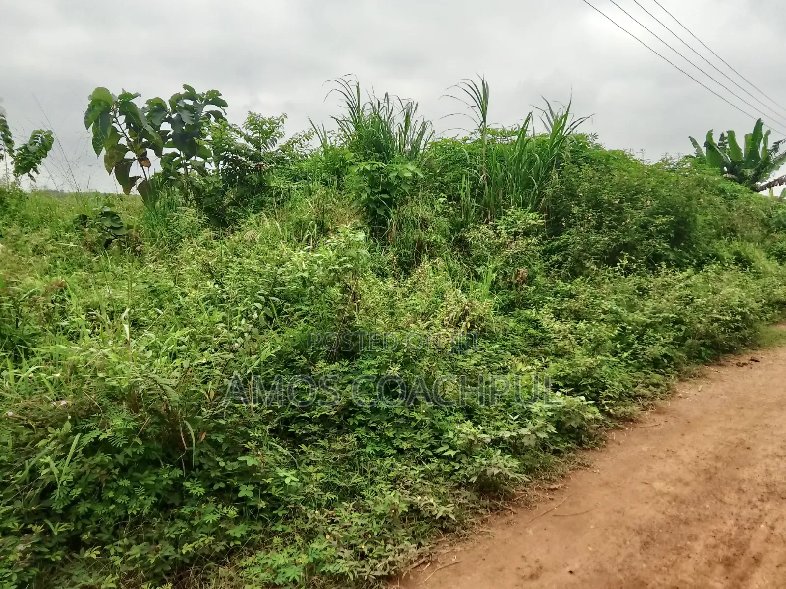 Roadside Plot at SYN YH Temakwataa