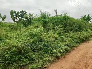 Roadside Plot at SYN YH Temakwataa