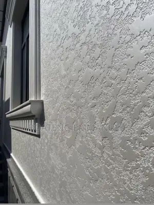 Textured Wall Coating (Tyrolean)