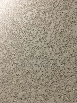 Textured Wall Coating (Tyrolean)