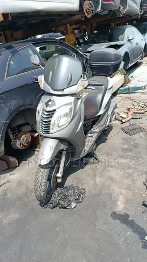 Motorcycle 2010 Gray
