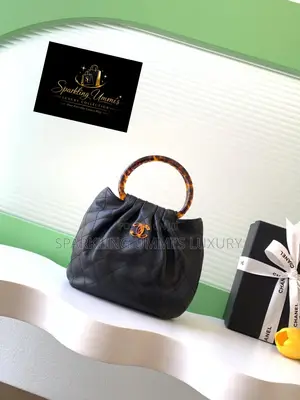 Premium Quality the Chanel Tortoise Handle Bucket Bag