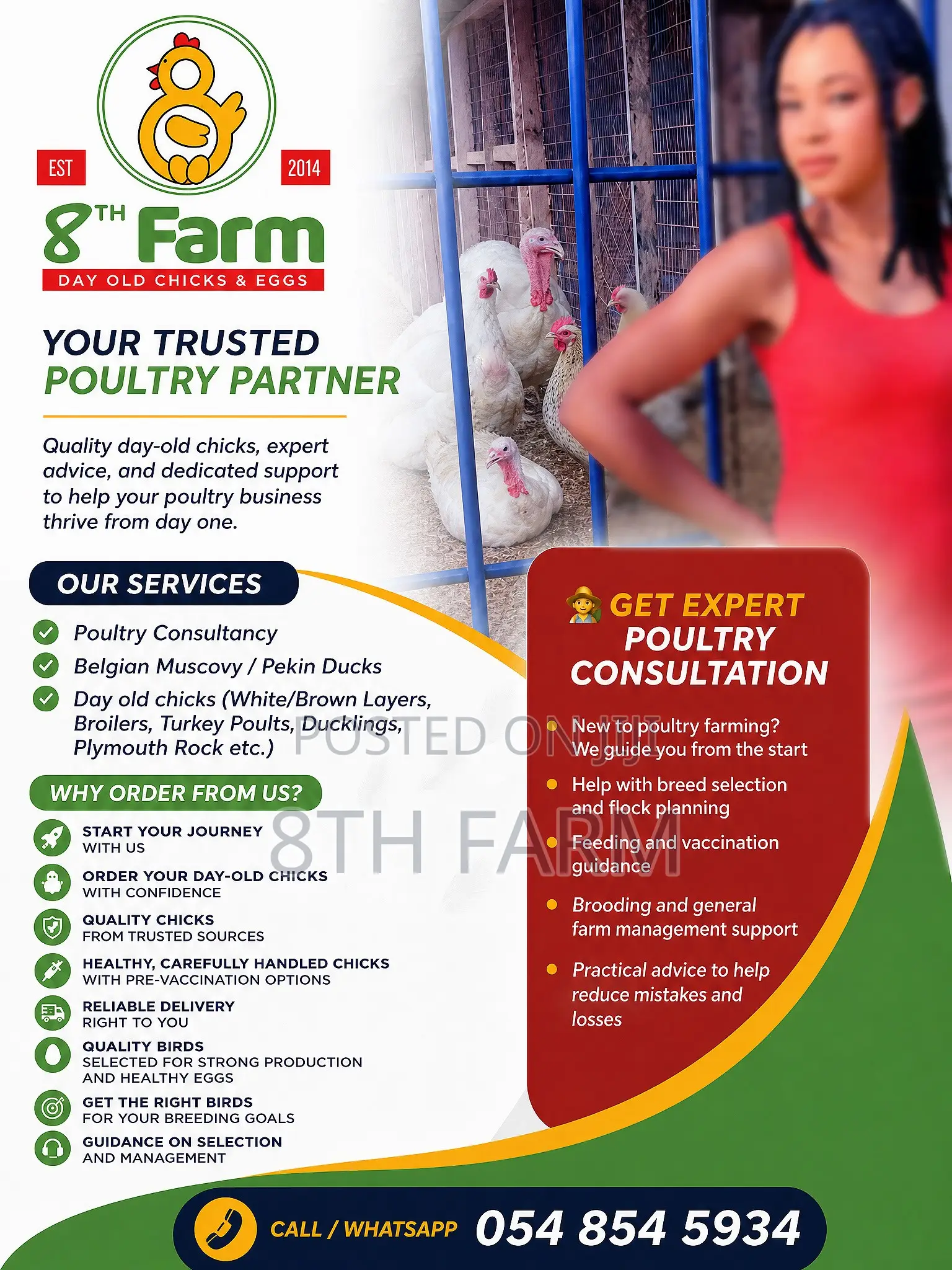 Poultry/Animal Farming Consultancy