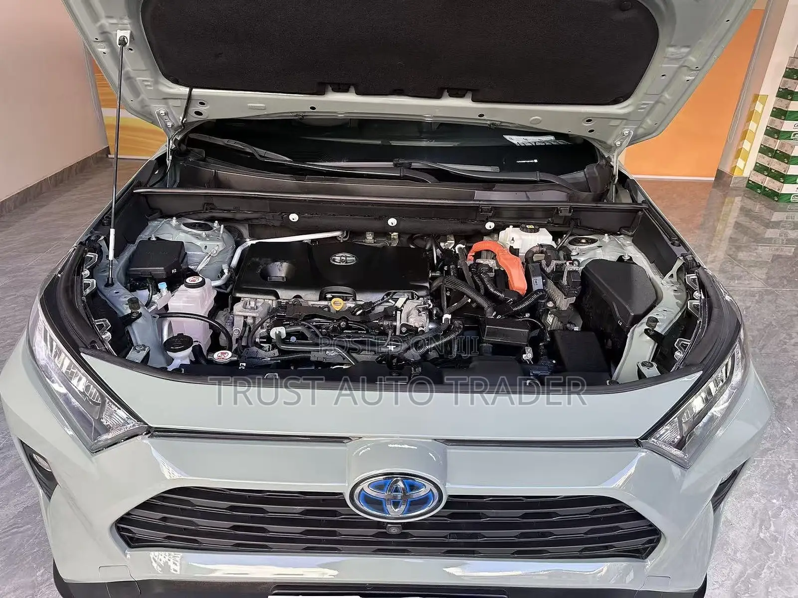 Toyota RAV4 Adventure AWD 2020 Green