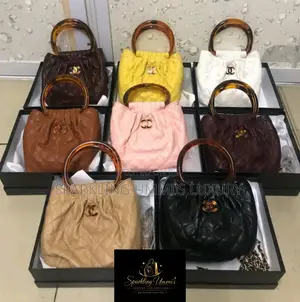 Premium Quality the Chanel Tortoise Handle Bucket Bag