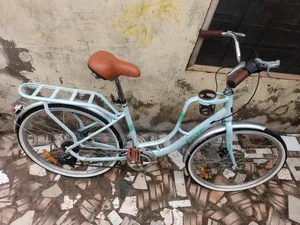 BDF 24/26-Inch Steel Classic City Cruiser Bike.
