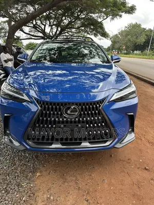 Lexus NX 350 AWD 2024 Blue