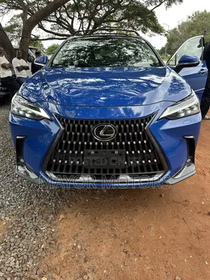 Lexus NX 350 AWD 2024 Blue