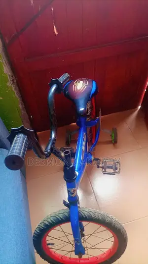 Kids Bicycle