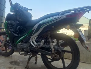 Apsonic AP110 2021 Green