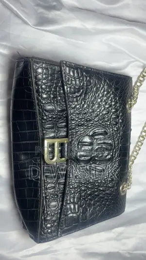 Black Stylish Bag