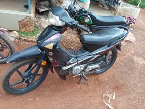 Apsonic AP110 2021