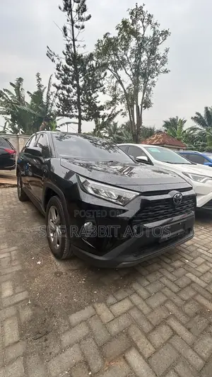 Toyota RAV4 2023 Black