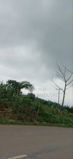 ROADSIDE Land for Sale