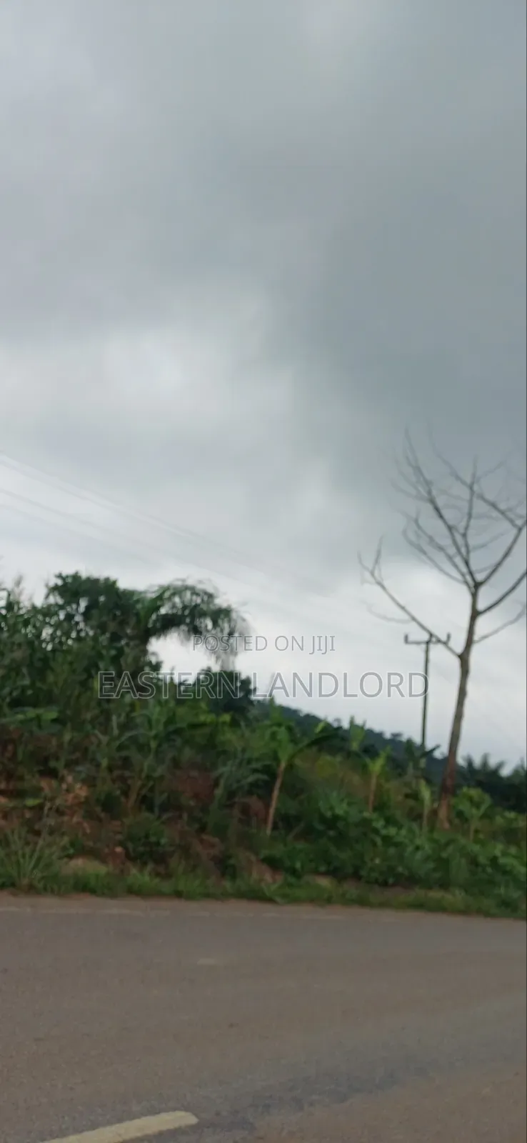 ROADSIDE Land for Sale