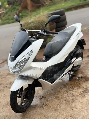 Honda 2022 White
