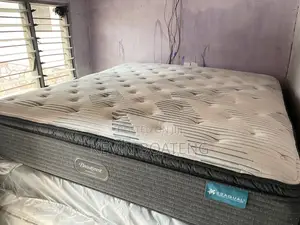 Beautyrest Harmony Plush Beds(king) 76/80 15inches