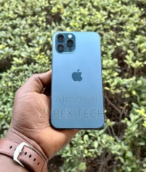 Apple iPhone 12 Pro Max 256 GB Blue