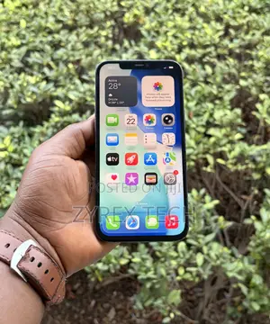 Apple iPhone 12 Pro Max 256 GB Blue