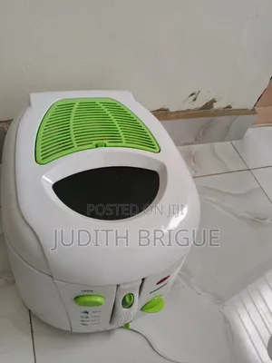 Eurosonic Deep Fryer
