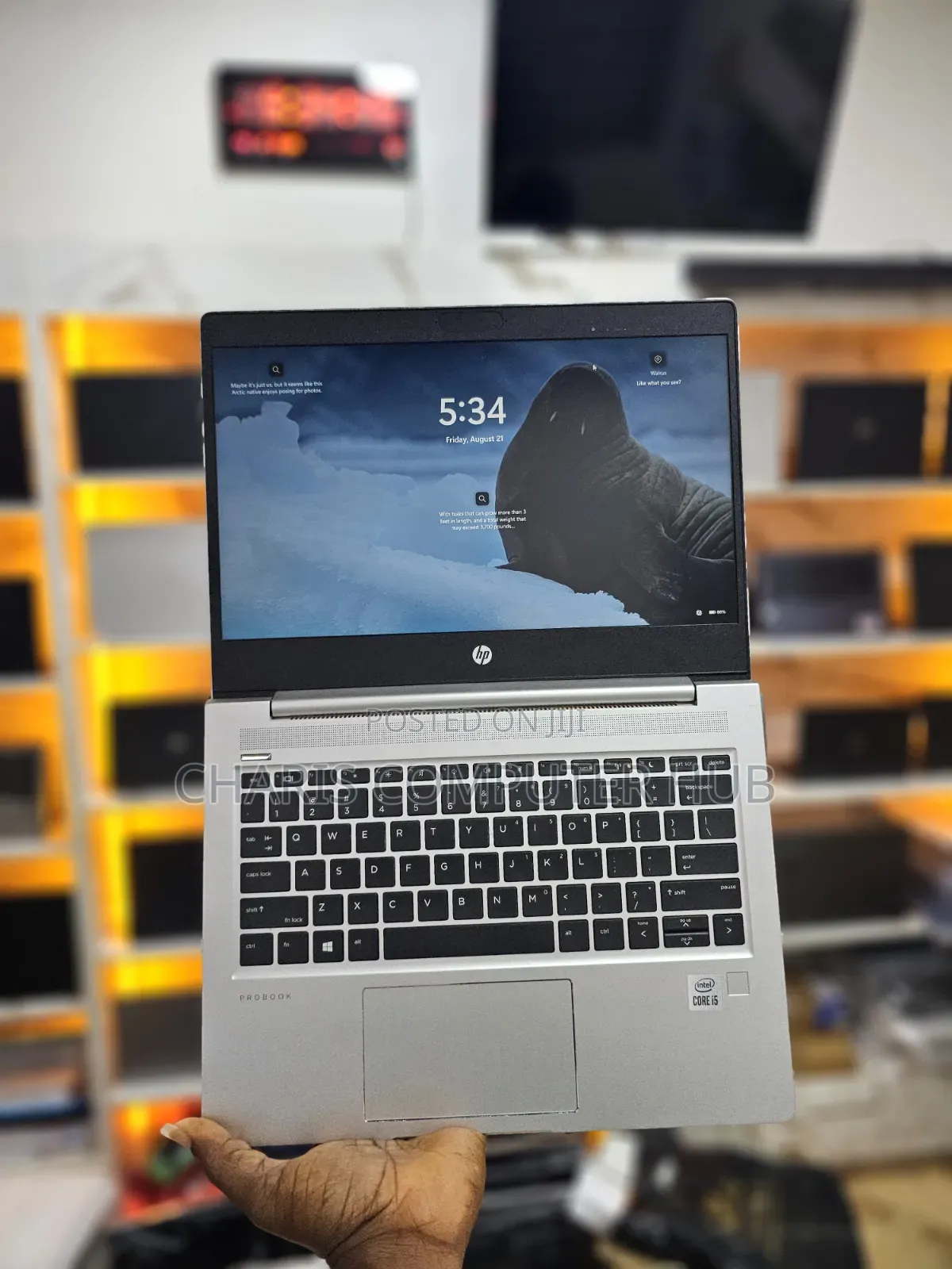 Laptop HP ProBook 430 G7 8GB Intel Core i5 SSD 256GB