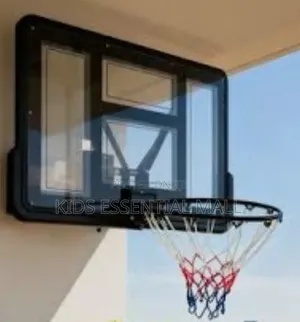 Basketball Metal Hoops With Board , Pump, Ball and Net