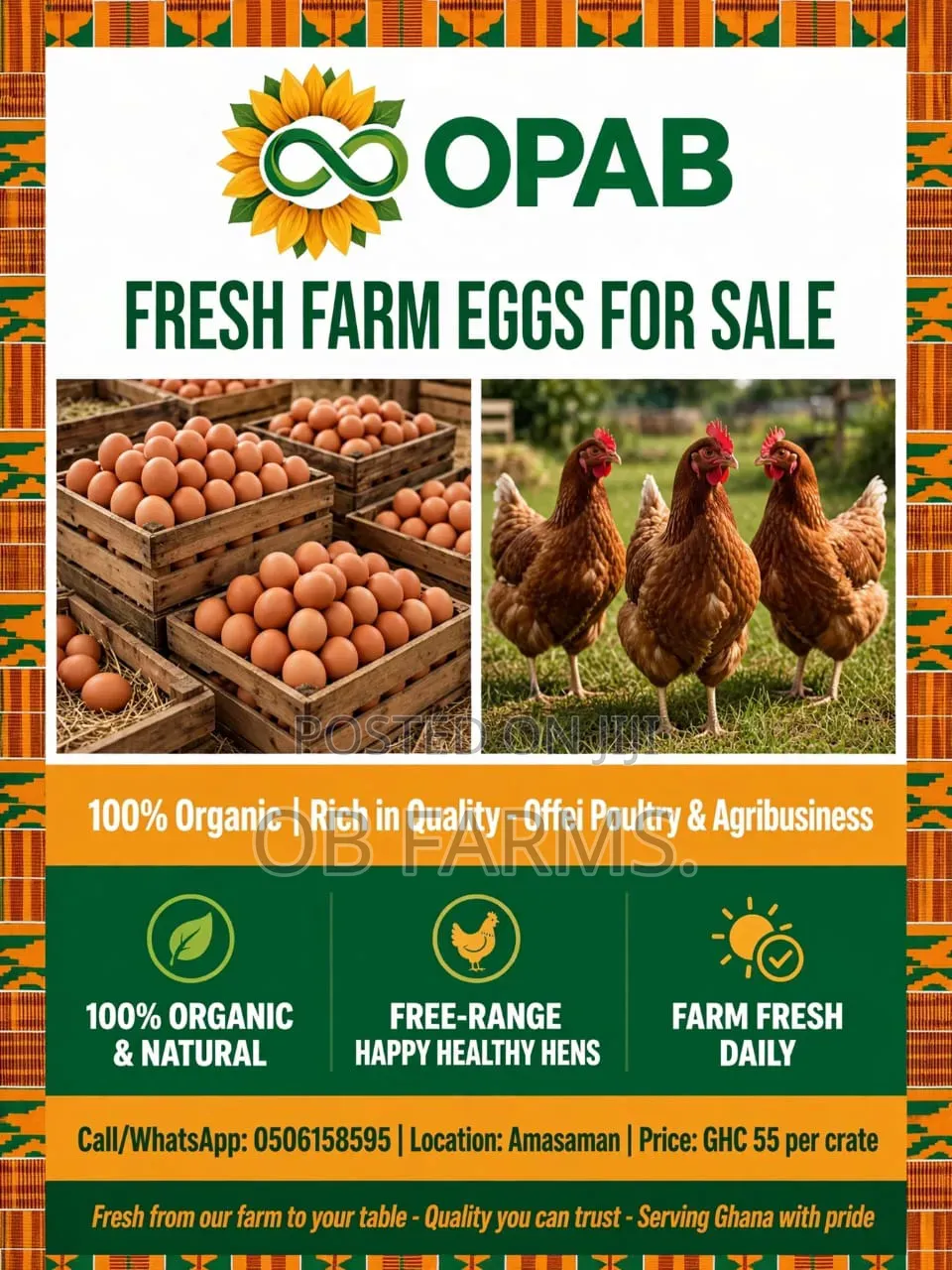 Fresh Organic Egg
