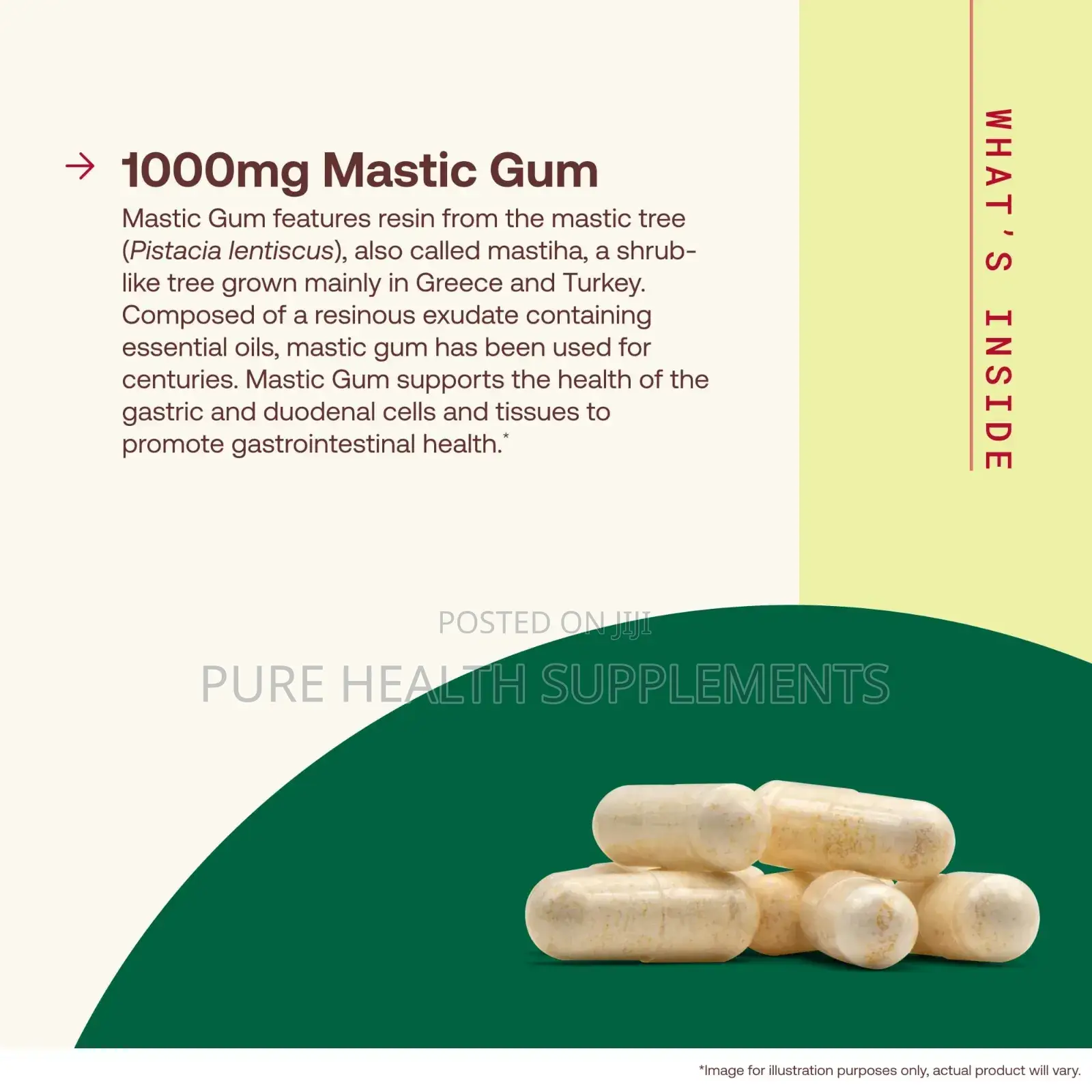 Jarrow Formulas, H Pylori Be Gone! , Vegan Mastic Gum, 60 Veggie Caps