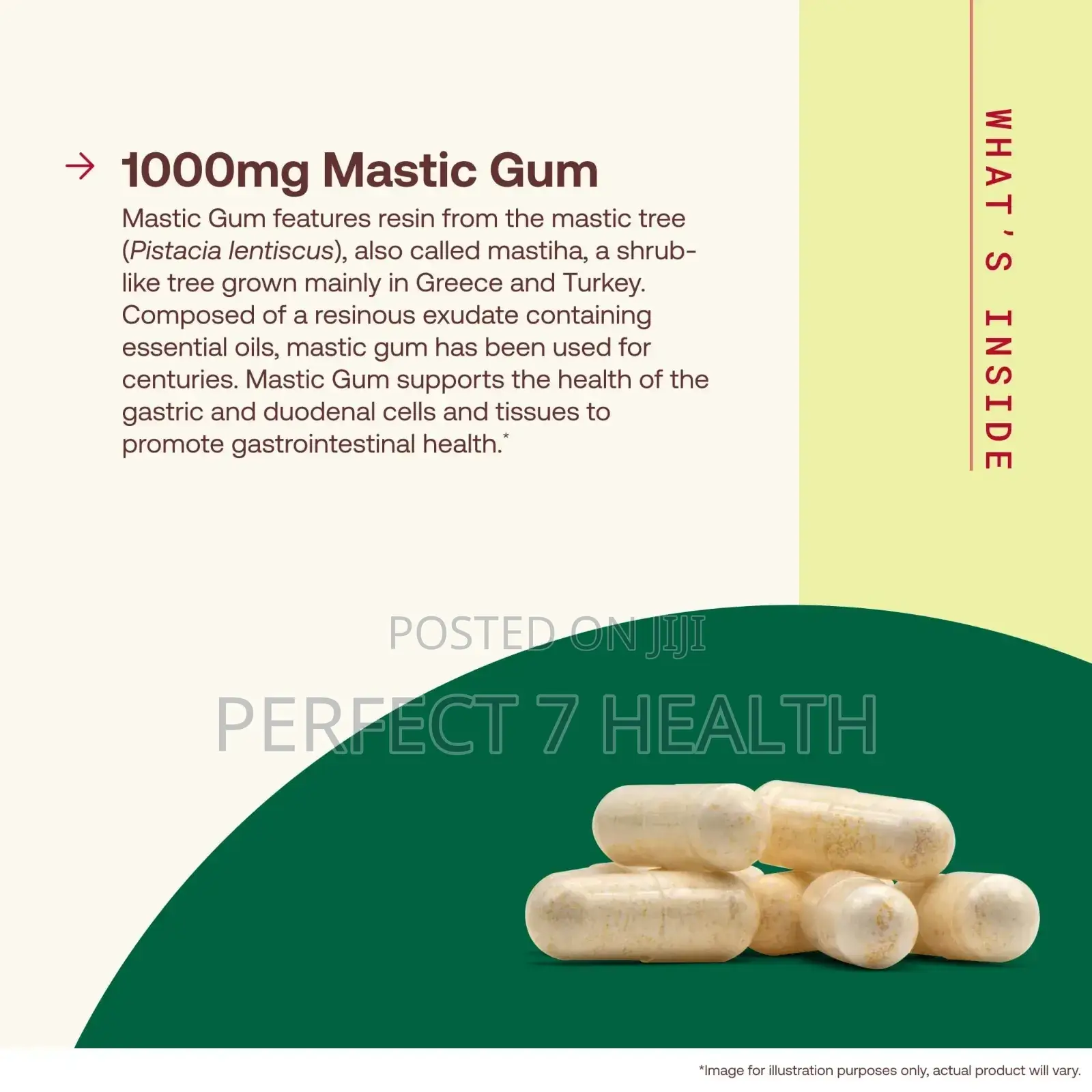 Jarrow Formulas, H Pylori Be Gone! , Vegan Mastic Gum, 60 Veggie Caps