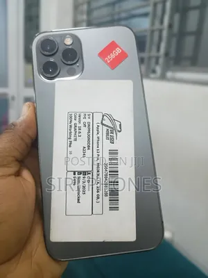 Apple iPhone 12 Pro 256 GB Gray