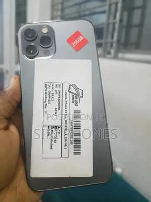 Apple iPhone 12 Pro 256 GB Gray