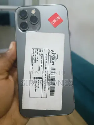 Apple iPhone 12 Pro 256 GB Gray